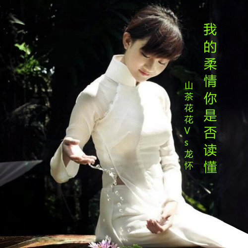 我的柔情你是否读懂【龙怀/山茶花花对唱歌曲】