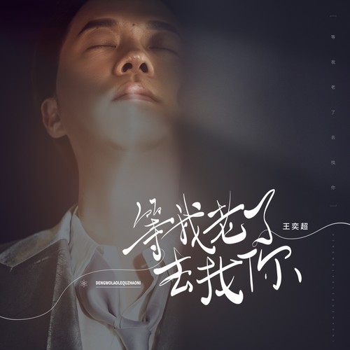 等我老了去找你（正式版）