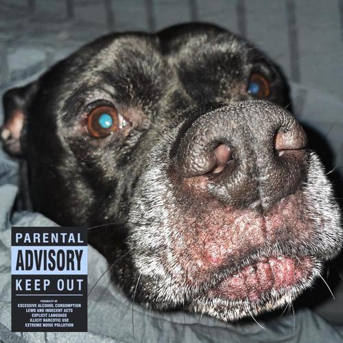 SONGS TO WAKE THE DOGS UP (Explicit)