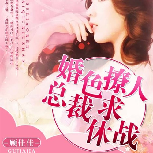 总裁,求休战