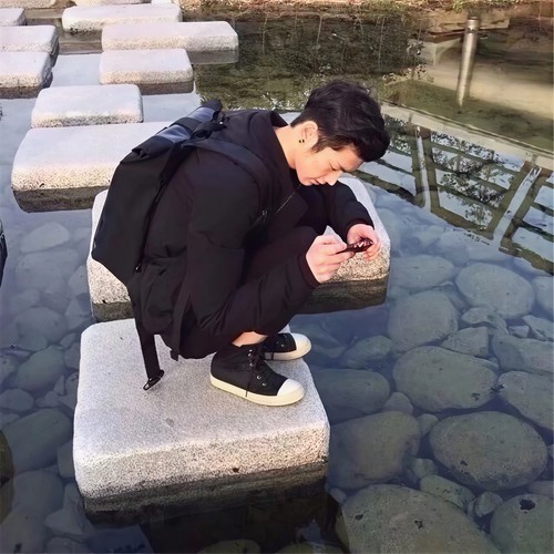 樱花树下的约定