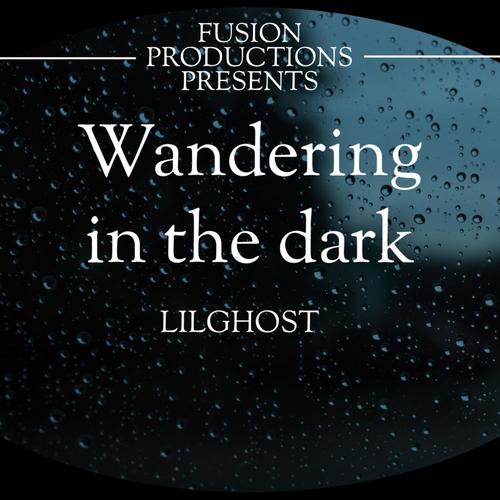 WANDERING IN THE DARK (feat. LILGHOST) [Explicit]