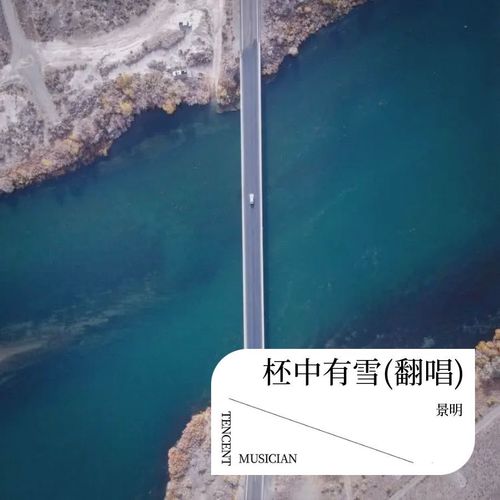 柸中有雪(翻唱)
