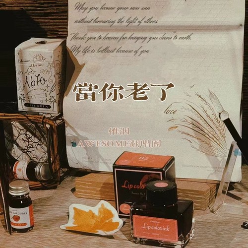 当你老了(翻唱)