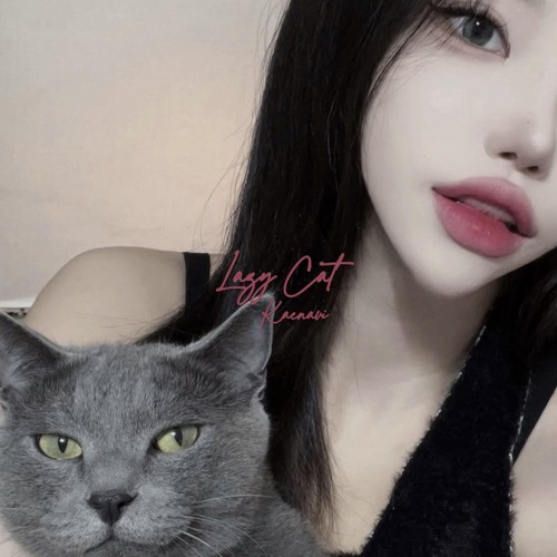 우리집 고양이 (Lazy Cat) (我们家小猫)