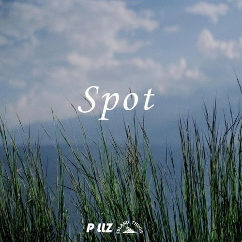 Spot