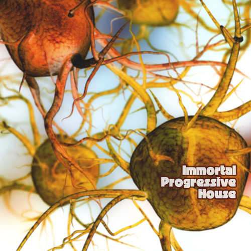 Immortal Progressive House