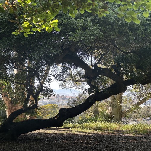 One Of Us Cannot Be Wrong