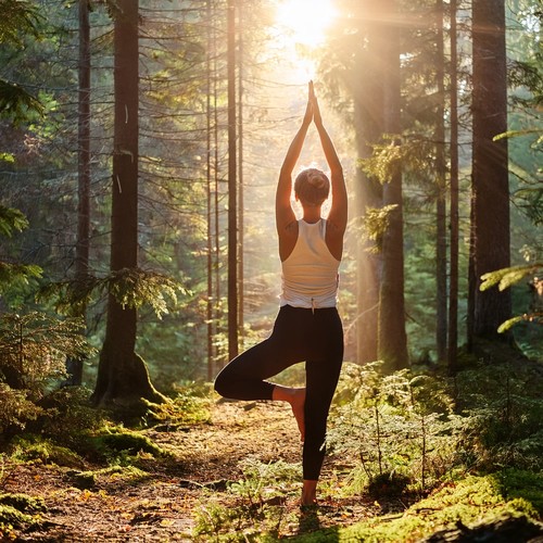 Música Con Melodías Suaves Para Una Meditación Suave