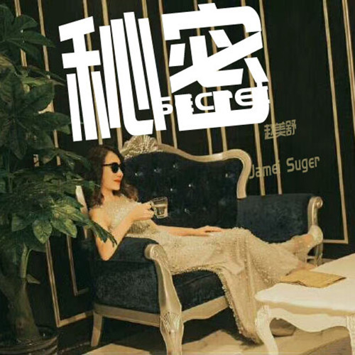 秘密地带