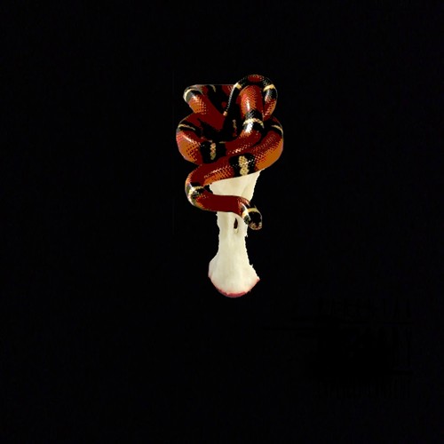 Forbidden (Explicit)