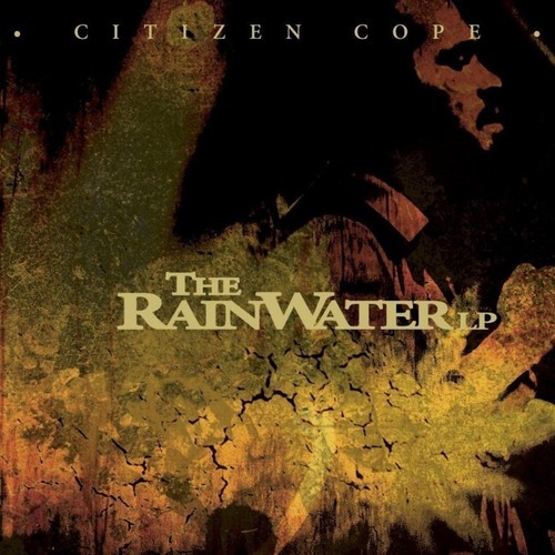The Rainwater