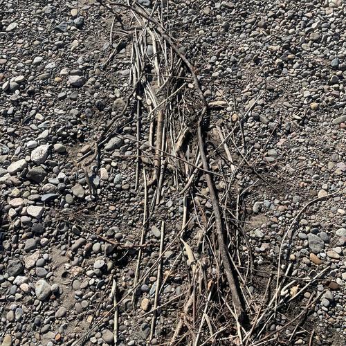 STICKS-STICKS-STICKS