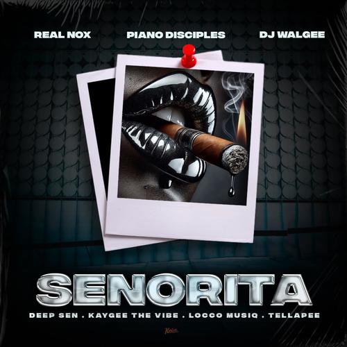 Senorita (feat. Tellapee, DJ Walgee, Piano Disciples & Locco Musiq)