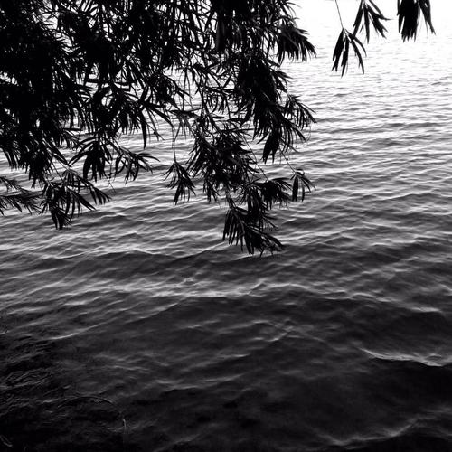 黑马王子前传：马思维vs中文说唱