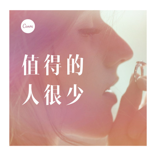 值得的人很少（DJ）