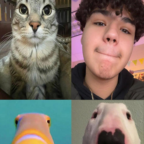 THE ELEMENTS (feat. Marquis Shamari & Fifth Element)