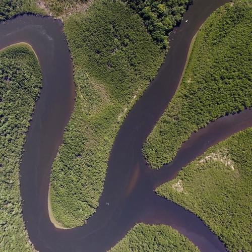 AMAZONAS (feat. Papicha) [Explicit]