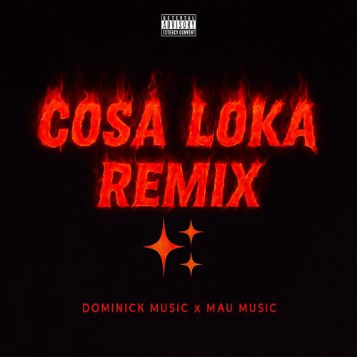 Cosa Loka (feat. Mau Music) [Remix]