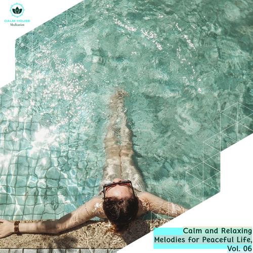 Calm And Relaxing Melodies For Peaceful Life, Vol. 06