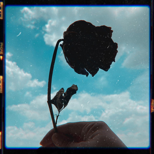 จะจำเอาไว้ทุกเรื่องที่ผ่านมานั้น (Explicit)