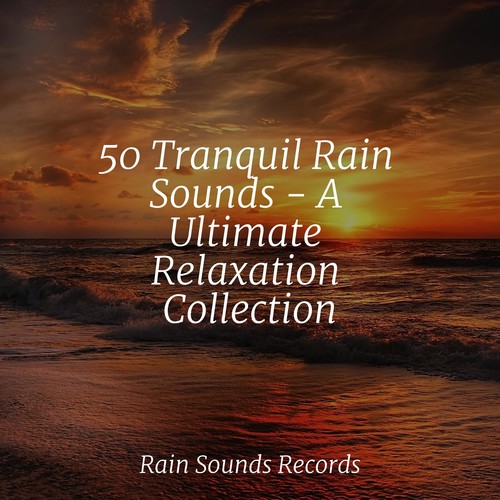 50 Tranquil Rain Sounds - A Ultimate Relaxation Collection
