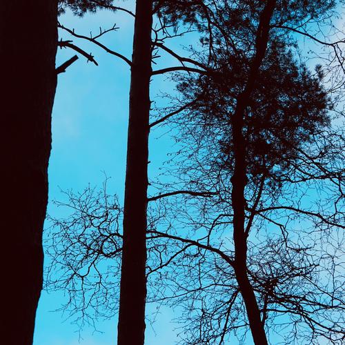 In dreams (feat. Remy River)