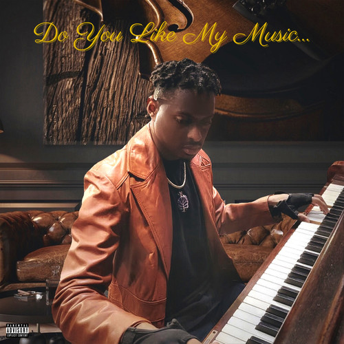 Do you like my music... (Explicit)