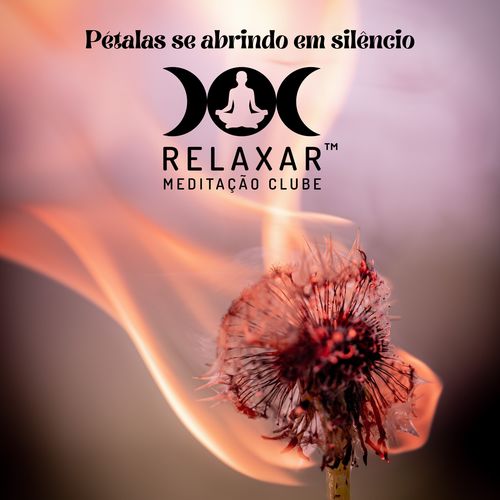 Pétalas se abrindo em silêncio