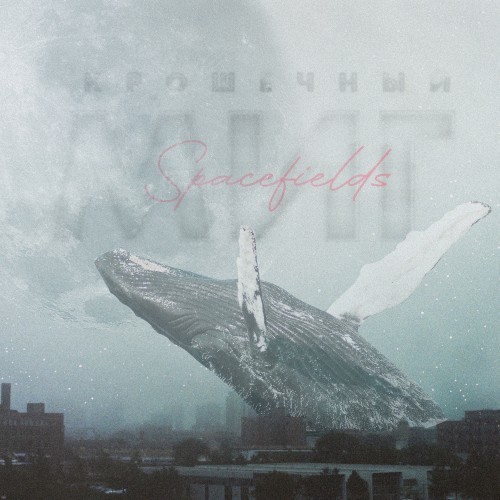 Крошечный миг