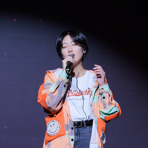 十七的夏阳翻唱集