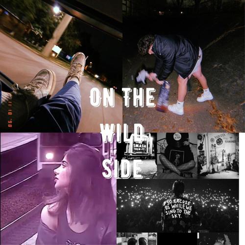 On The Wild Side (Explicit)
