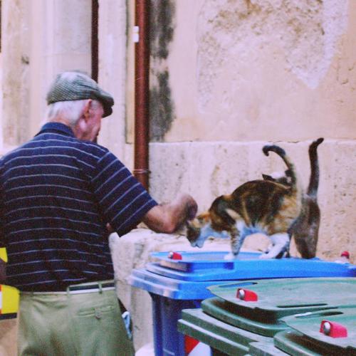 Il consiglio non vale (Explicit)