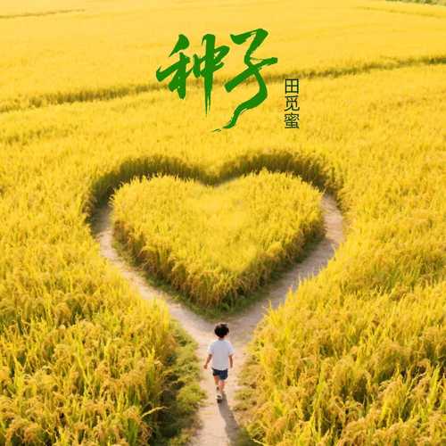 种子
