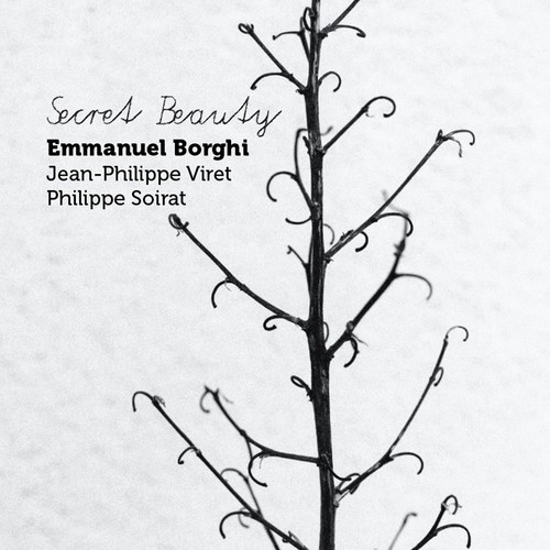 Secret Beauty