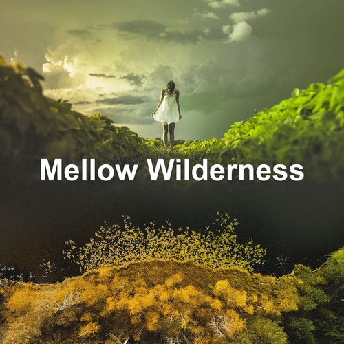 Mellow Wilderness