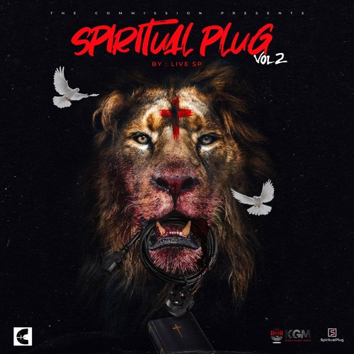 Spiritual Plug, Vol. 2