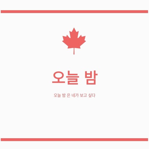 오늘 밤