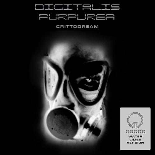 Crittodream (Water Lilies Version) (Radio Edit) [Explicit]