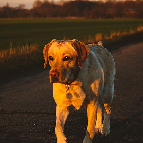 不要忘记我爱你