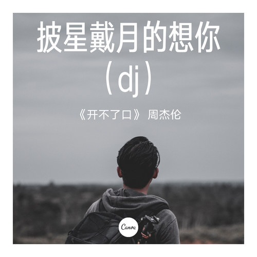 披星戴月的想你（dj）