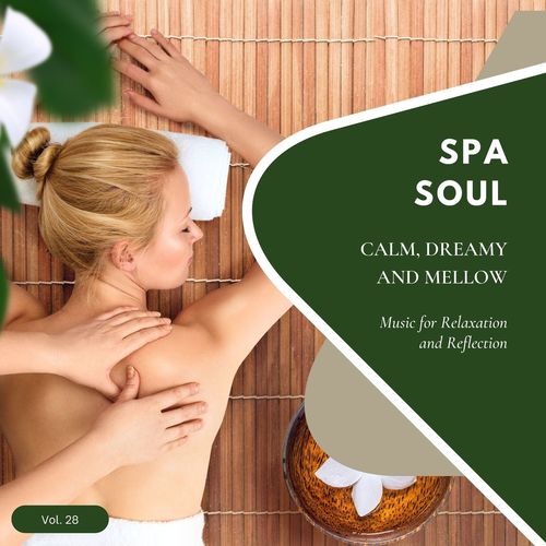 Spa Soul - Calm, Dreamy And Mellow Music For Relaxation And Reflextion, Vol. 28