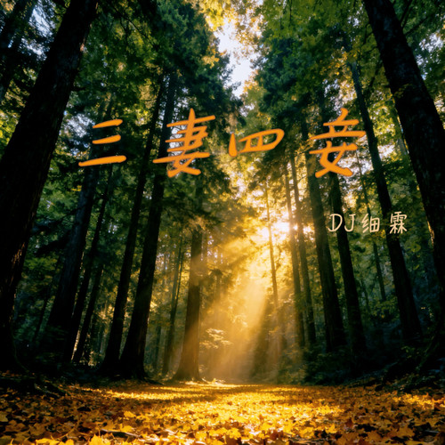 三妻四妾（DJ降调氛围版）
