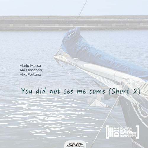 You Did Not See Me Come (short 2)