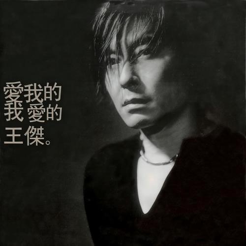 爱我的我爱的王杰