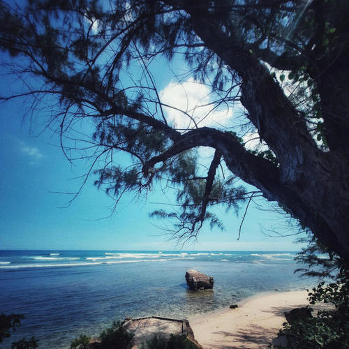 Meditations In Barbados, Pt. 1