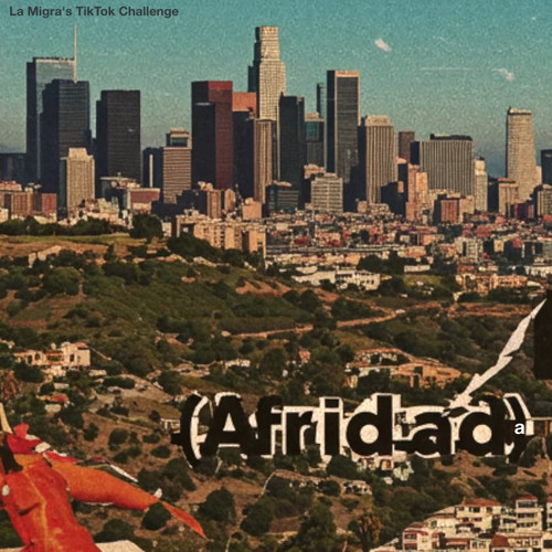 La Migra's Tiktok Challenge