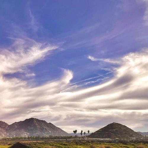 Presidential (Explicit)