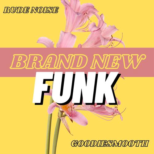 Brand New Funk (Explicit)