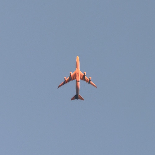 Night Jet